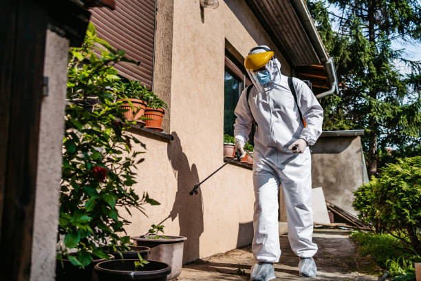 Best Mosquito Control Services  in Flying Hills, PA