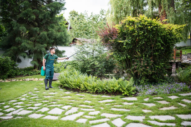 Best Wasp Removal Services  in Flying Hills, PA