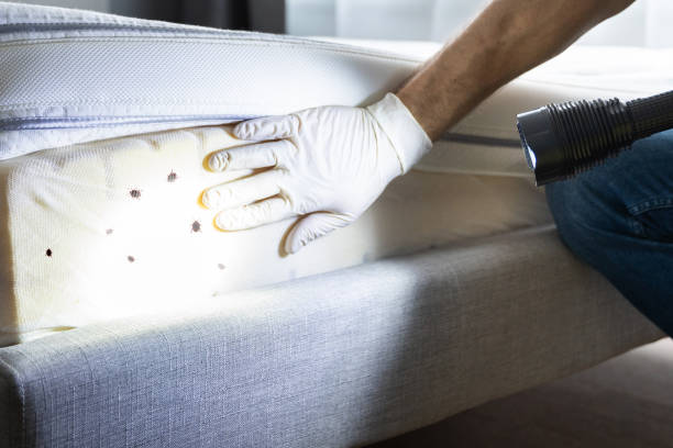 Best Affordable Pest Control Services  in Flying Hills, PA