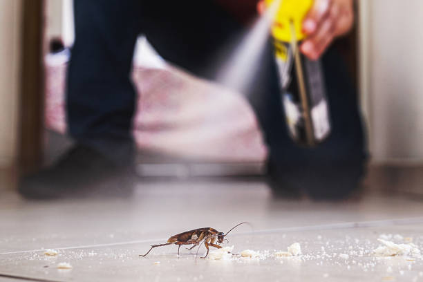 Pest Control Cost in Flying Hills, PA